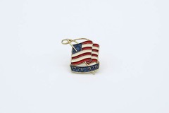 1976 Americana Pin