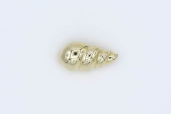 1981 Conch Shell Pin