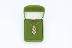 Dollar Sign Rhinestone  Award Necklace
