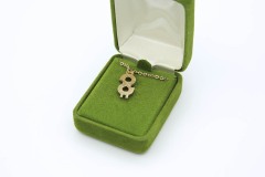 Dollar Sign Rhinestone  Award Necklace