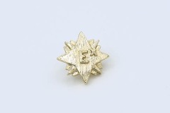 E x Award Pin