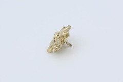 E x Award Pin