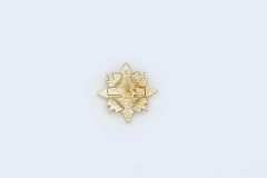 E x Award Pin