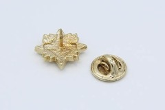 E x Award Pin