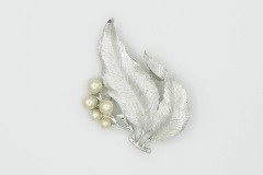 Silvery Splendor 1966