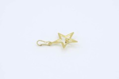 Star Achiever Award Drop